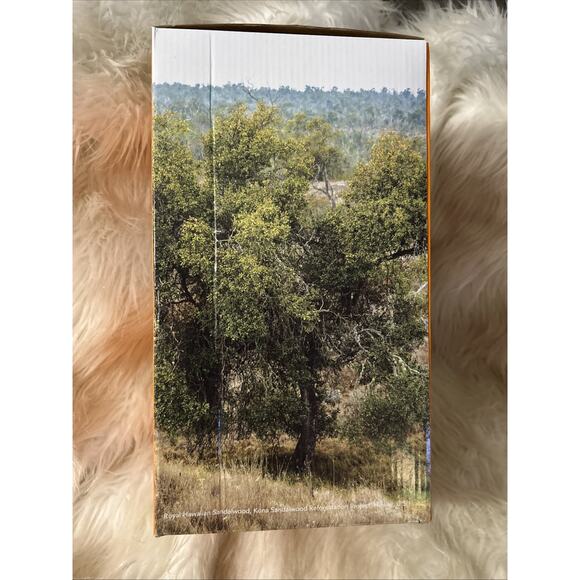 Young Living Lantern Essential Oil Ultrasonic Diffuser Limited Edition Gray New - Picture 3 of 13